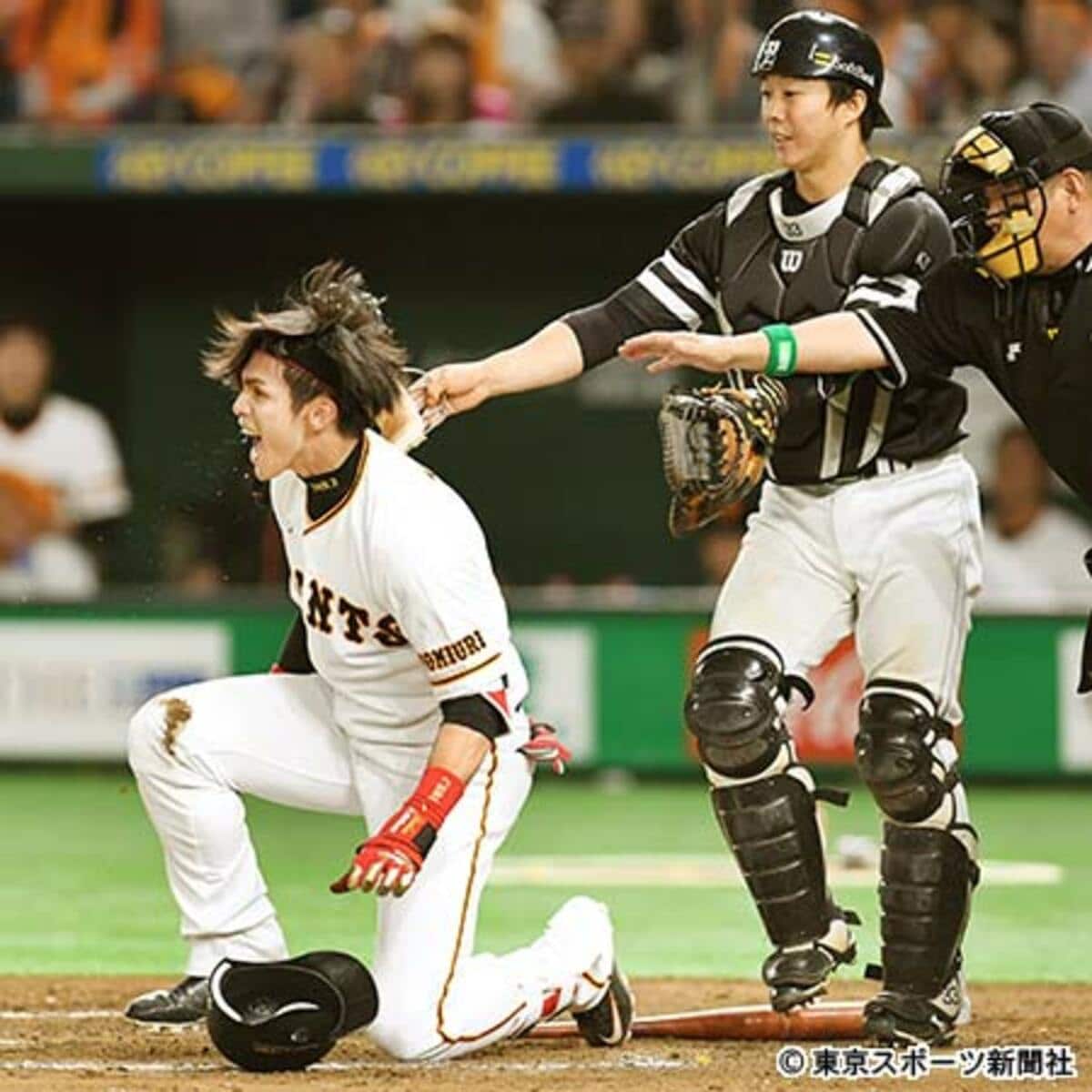 写真：巨人・陽岱鋼が頭部死球に激怒！乱闘寸前に | 東スポWEB