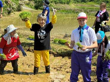 山古志地区の幸子田で田植えを行った小林幸子