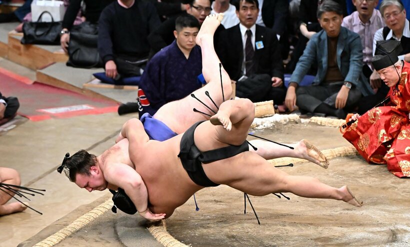 安青錦は首投げで伯桜鵬を破った