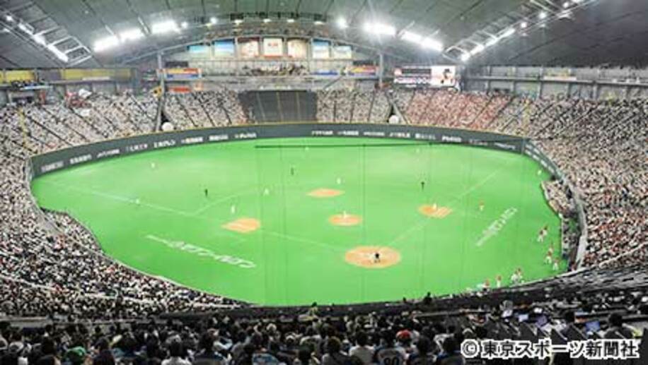  防球ネットが設置される札幌ドーム