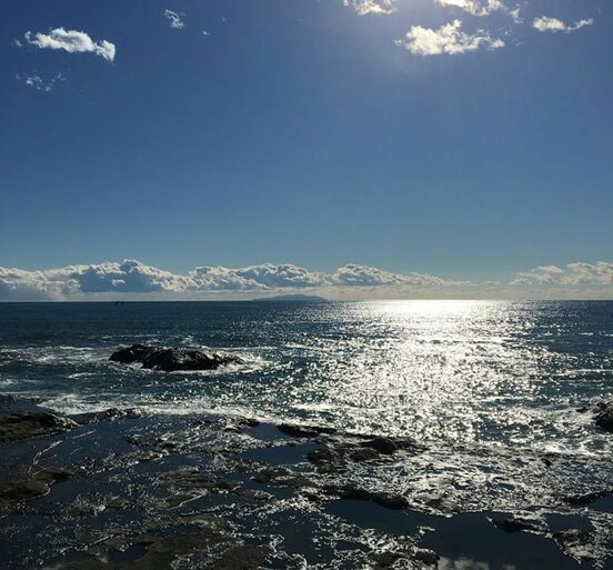 ２００２年、茨城県の海岸に打ち上げられたクジラ