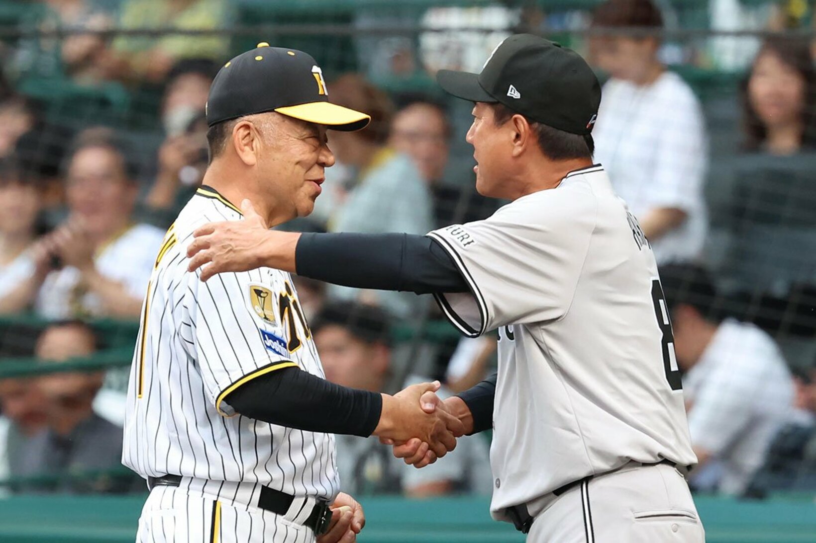 掛布雅之氏（左）と旧交を温めた原辰徳氏