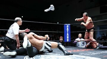 タオルを投入する藤波辰爾(右)