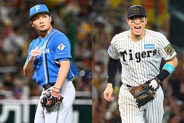 MLB球団から注目されている日本ハム・伊藤大海(左)と阪神・佐藤輝明