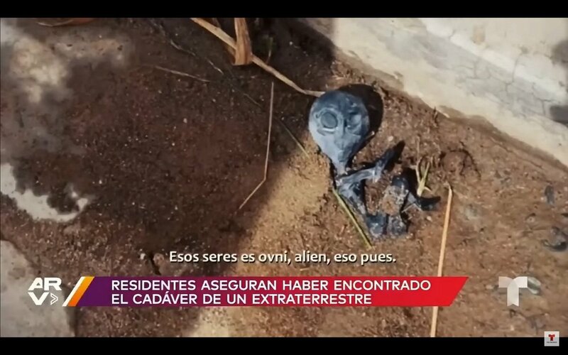 「赤ちゃん宇宙人！」世界で衝撃報道　南米ボリビアで３月発見された死体の正体追跡 | 記事 | 東スポWEB