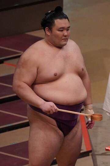  朝乃山の大逆襲が始まるか（東スポWeb）