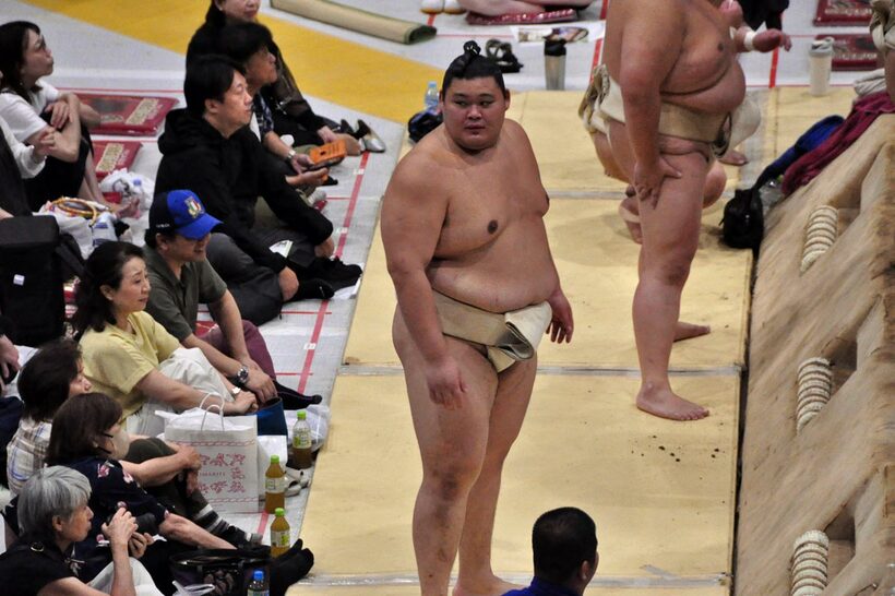 大の里