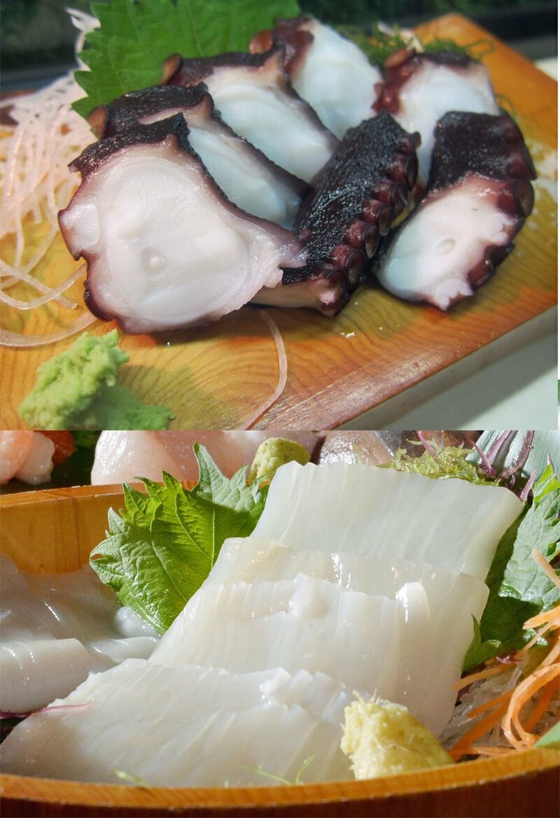  タコやイカを食べてタフになろう(写真はイメージ)