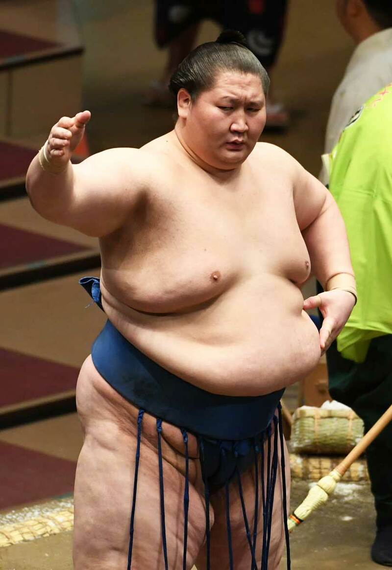  関取トップの座を守った逸ノ城（東スポWeb）