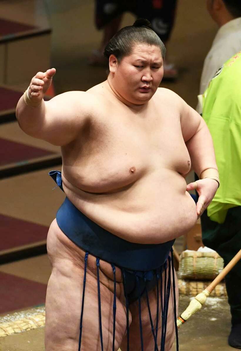  関取トップの座を守った逸ノ城（東スポWeb）